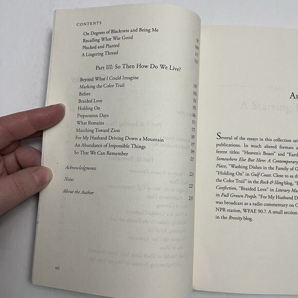 All the Colors We Will See Reflections on Barriers Brokenness Finding Our Way - Picture 5 of 8